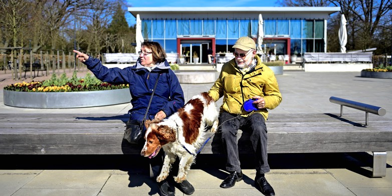 Elderly people sitting on a bench with their dog