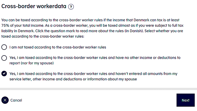 Screenshot from skat.dk