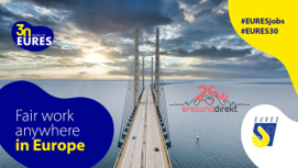 EURES webinar grafik